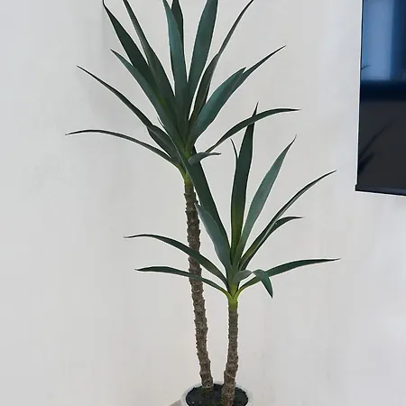 La Casa De Sandalio Дом отдыха El Pris