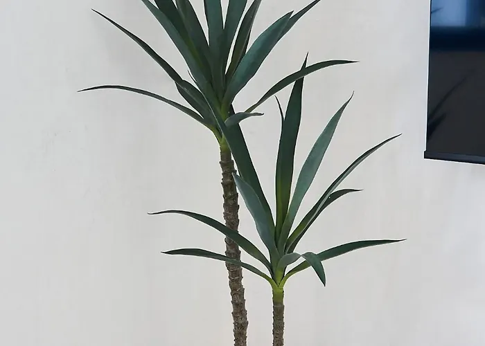 La Casa De Sandalio Lägenhet El Pris