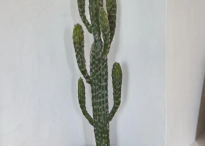 Apartman La Casa De Sandalio *